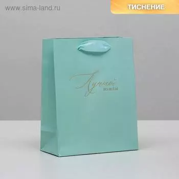 Пакет ламинированный вертикальный «Лучшей во всём», S 12 × 15 × 5,5 см