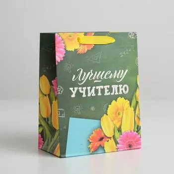 Пакет подарочный ламинированный вертикальный, упаковка, «Лучшему Учителю», MS 18 х 23 х 10 см