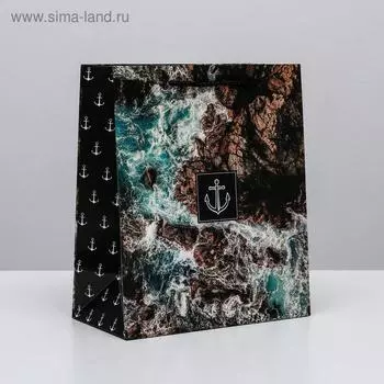 Пакет подарочный ламинированный вертикальный, упаковка, «Море», ML 23 х 27 х 11,5 см