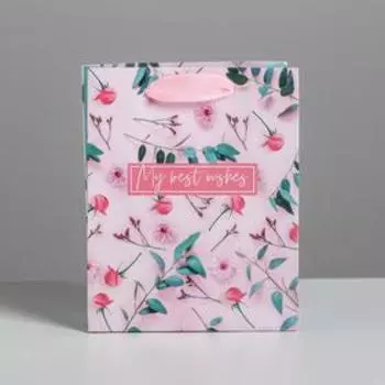 Пакет ламинированный вертикальный «My best wishes», S 12 15 5,5 см