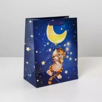 Пакет ламинированный вертикальный «На луне», MS 18 × 23 × 10 см