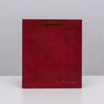 Пакет подарочный ламинированный вертикальный, упаковка, «От всего сердца», M 25.5 х 30 х 9 см