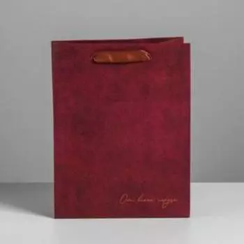 Пакет ламинированный вертикальный «От всего сердца», MS 18 × 23 × 10 см