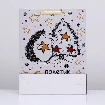 Пакет подарочный новогодний ламинированный вертикальный «Пакетик счастья»,334210 см