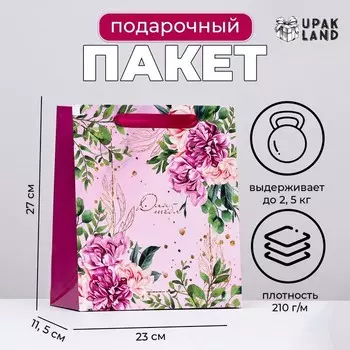 Пакет ламинированный вертикальный «Пастель», 232711.5 см