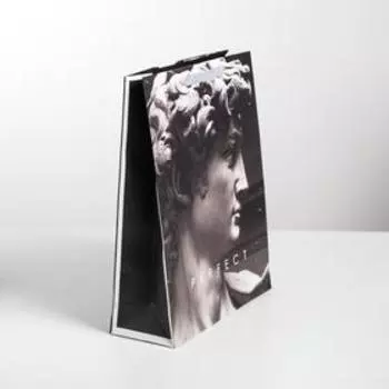 Пакет ламинированный вертикальный Perfect, L 31 × 40 × 11,5 см