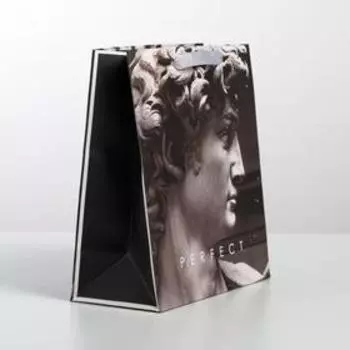 Пакет ламинированный вертикальный Perfect, ML 23 × 27 × 11,5 см