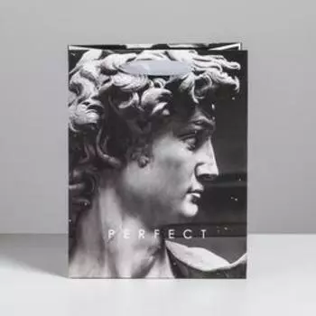 Пакет ламинированный вертикальный Perfect, MS 18 × 23 × 10 см