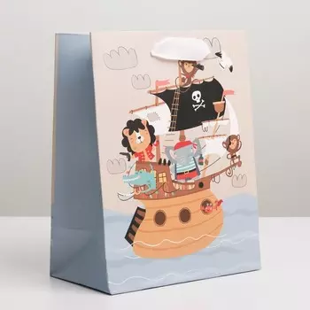 Пакет ламинированный вертикальный «Пираты», MS 18 × 23 × 10 см
