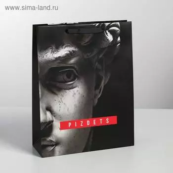 Пакет ламинированный вертикальный Pizdets, L 31 × 40 × 11,5 см