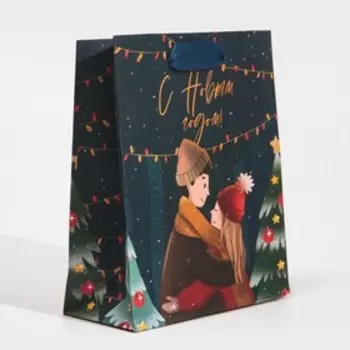 Пакет ламинированный вертикальный «Поцелуй зимы», 12 15 5,5 см