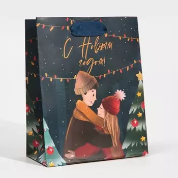 Пакет ламинированный вертикальный «Поцелуй зимы», 12 15 5,5 см