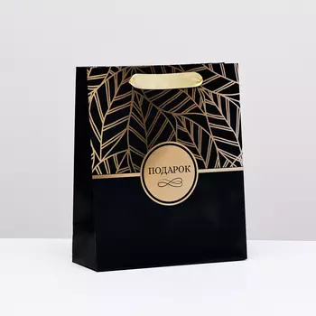 Пакет ламинированный вертикальный «Подарок», 21258 см