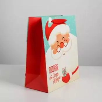 Пакет ламинированный вертикальный «Подарок от Деда Мороза», ML 23 × 27 × 11,5 см