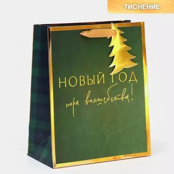 Пакет ламинированный вертикальный «Пора волшебства», 21,5 25 10 см