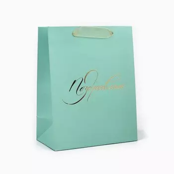 Пакет ламинированный «Поздравляю», MS 18 х 23 х 10 см