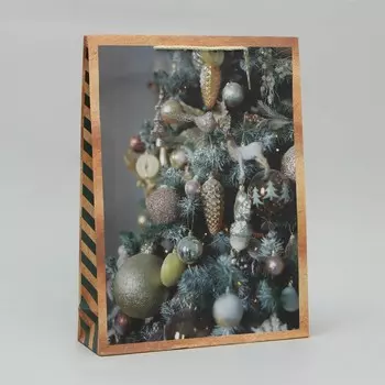 Пакет ламинированный вертикальный «Праздник в доме», L 28 38 9 см