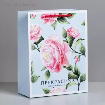 Пакет подарочный ламинированный, упаковка, «Прекрасных мгновений», MS 18 х 23 х 10 см