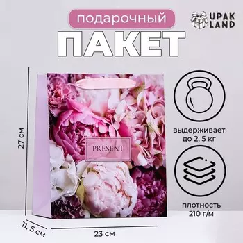 Пакет ламинированный вертикальный PRESENT, 232711.5 см