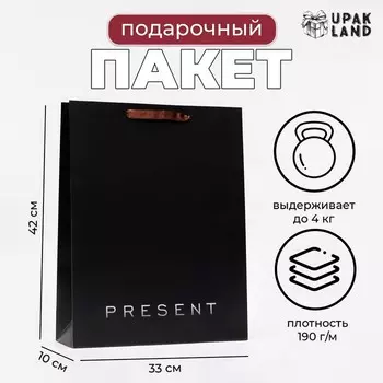 Пакет ламинированный вертикальный Present, 334210 см