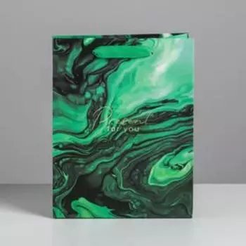 Пакет подарочный ламинированный, упаковка, Present for you, MS 18 х 23 х 10 см