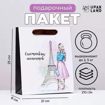 Пакет ламинированный вертикальный «Романтика Парижа», 21258 см