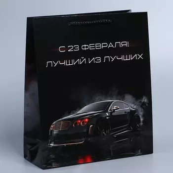 Пакет подарочный ламинированный вертикальный, упаковка, «С 23 февраля!», ML 21 х 25 х 8 см
