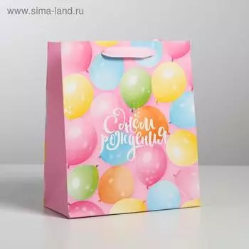 Пакет подарочный ламинированный, упаковка, «С Днем Рождения!», ML 23 х 27 х 11.5 см