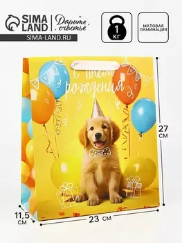 Пакет ламинированный «С Днём рождения», ML 23 х 27 х 11.5 см