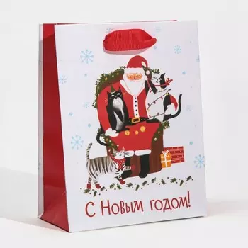 Пакет ламинированный вертикальный «С новокотием», 12 × 15 × 5,5 см