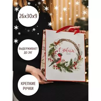Пакет ламинированный вертикальный «С Новым годом», M 26 × 30 × 9 см