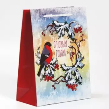 Пакет ламинированный вертикальный «Снежная пора», ML 21 × 25 × 8 см