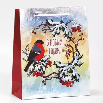 Пакет ламинированный вертикальный «Снежная пора», ML 21 × 25 × 8 см