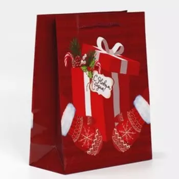 Пакет ламинированный вертикальный «Тепло и Уют», ML 21 25 8 см