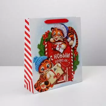 Пакет ламинированный вертикальный «Тигрята», M 26 × 30 × 9 см