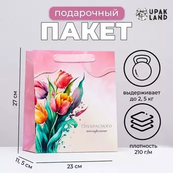 Пакет ламинированный вертикальный «Весенние тюльпаны», 232711.5 см