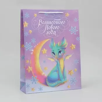 Пакет ламинированный вертикальный «Волшебство», L 28 38 9 см