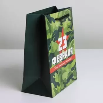 Пакет подарочный ламинированный, упаковка, «Звезда», MS 18 х 23 х 10 см