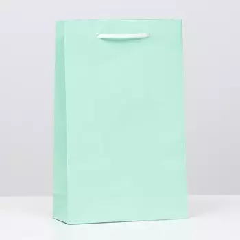 Пакет ламинированный, зелёный, 26,5 х 16,5 х 7 см