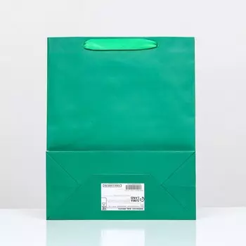 Пакет ламинированный «Зелёный», 263212 см