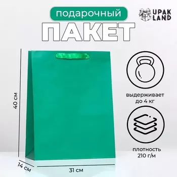 Пакет ламинированный «Зелёный», 31 х 40 х 14 см