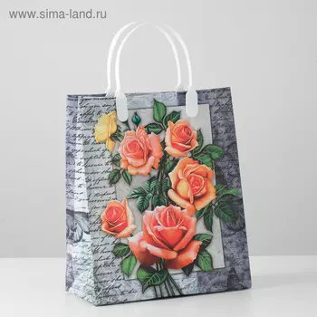 Пакет "Мэри", мягкий пластик, 23 х 27 см, 150 мкм