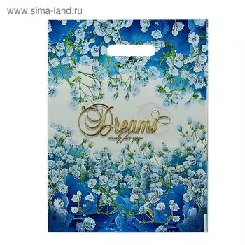 Пакет "Мечта", полиэтиленовый с вырубной ручкой, 30х40 см, 60 мкм