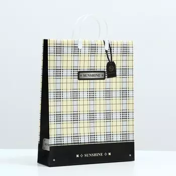 Пакет "Миранда", мягкий пластик, 40 x 32 см, 120 мкм