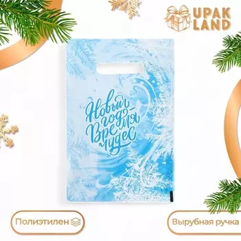 Пакет подарочный новогодний «Морозный узор», полиэтиленовый с вырубной ручкой, 2030 см, 30 мкм