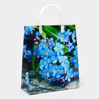 Пакет «Незабудка», мягкий пластик, 2723 см, 100 мкм