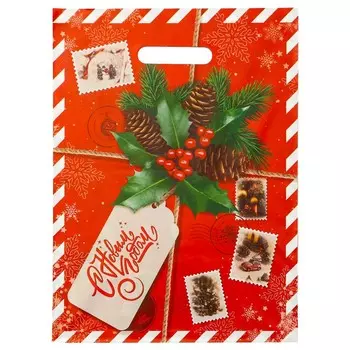 Пакет подарочный «Новогодняя посылка», полиэтиленовый с вырубной ручкой, 3040 см, 50 мкм