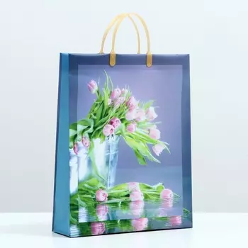 Пакет "Оливия", мягкий пластик, 41 x 32 см, 120 мкм