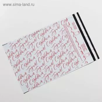 Пакет почтовый пластиковый «Новогодний сюрприз», 25 × 35,3 см