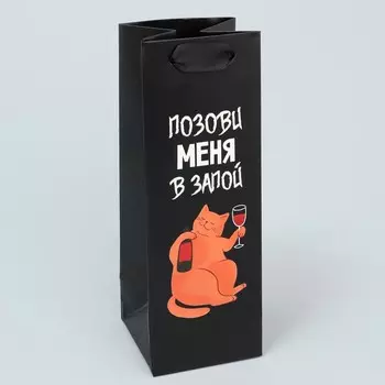 Пакет подарочный, упаковка «В запой», 9 х 25 х 8.5 см